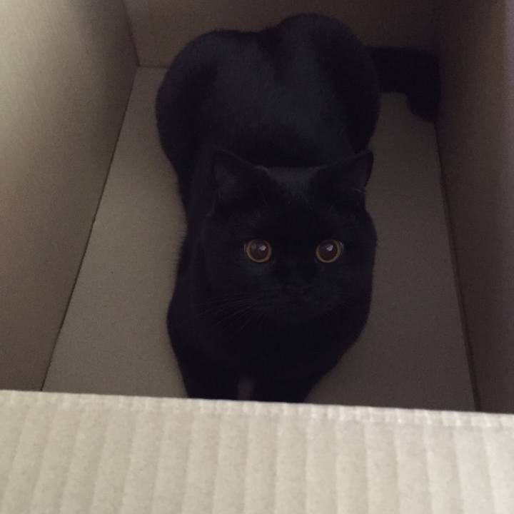 2eb580b9 4bdf 4d2d b83d 8c3dc7acccc4