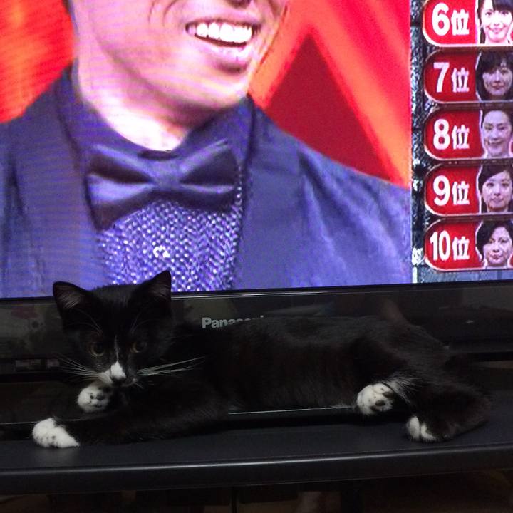 2eb5d6d2 d862 4492 bf2a dcd20c4bf1d8