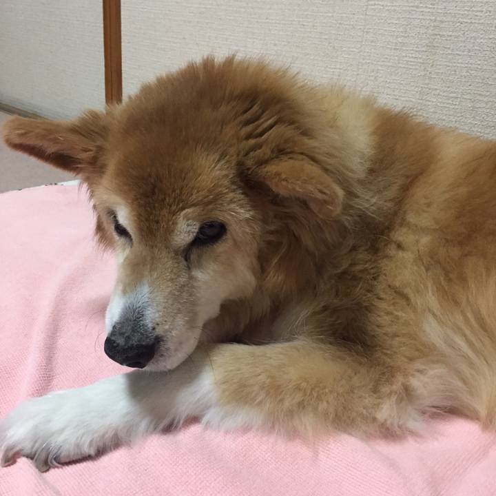 2eb60c35 9d28 41ef b492 e58be165d44d