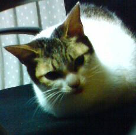 2eb6429d 47e8 42a3 a713 2290d4d4a81d