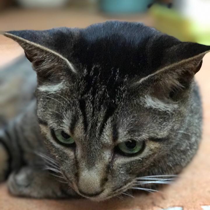 2eb6608b 61e9 419e 8087 8bc2e118f89b