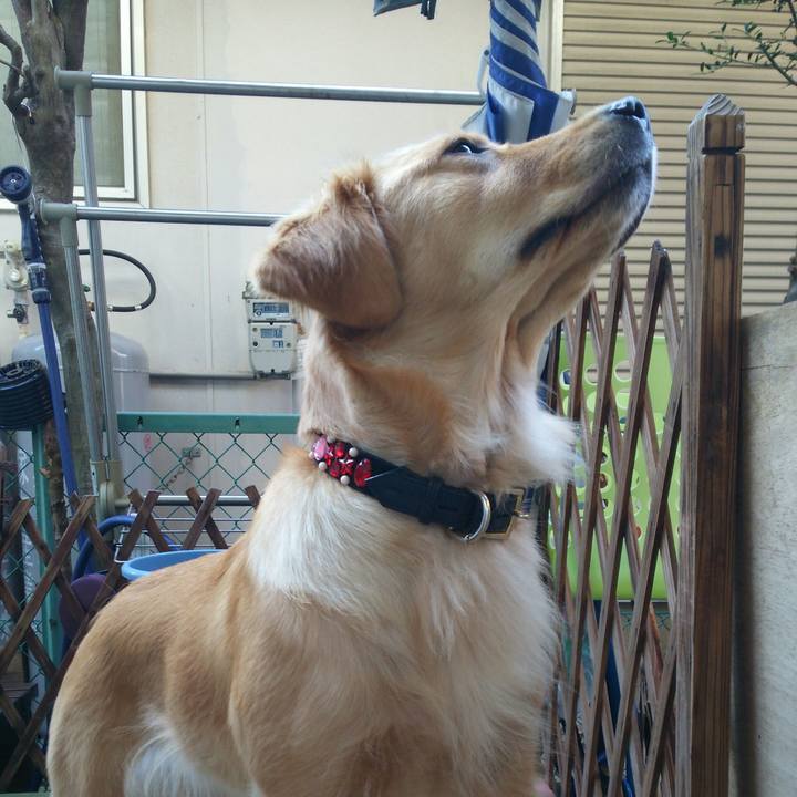 2eb6a67d 76e9 4995 b3c1 02ac302394e8