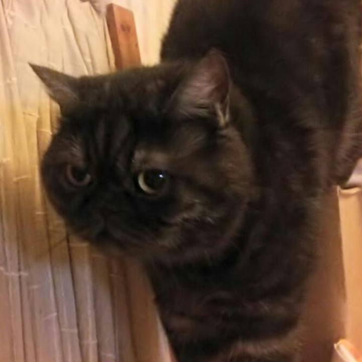 2eb6f693 bee0 4ea5 abdf f60f1aa0c671