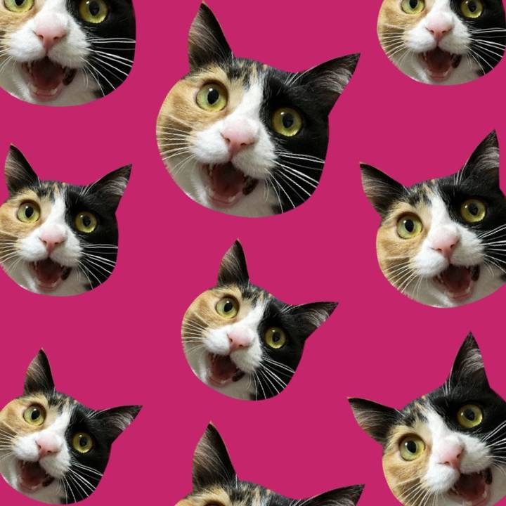 2eb7f54b 447c 45b3 8262 28fd051d9a81