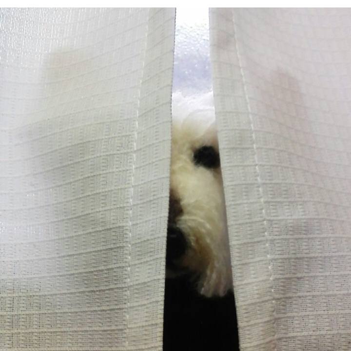 2eb83f6d da03 40f0 8908 f3af240063b0