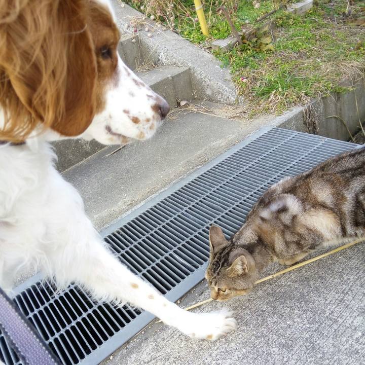 2eb8ce7b 889d 41be 8f33 656d1650bf70