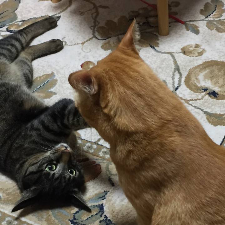 2eb95b84 47c6 4e57 9b60 c53354e265f2