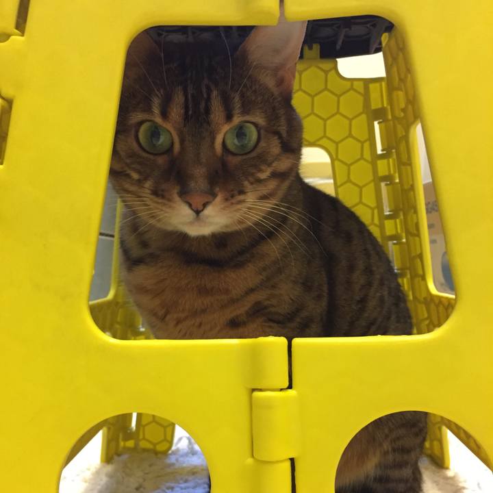 2eb9f943 1c86 40ff b2ad 4a54247fe203