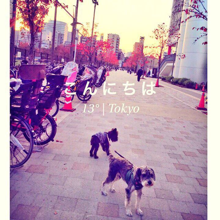 2eba51d5 1592 4ad2 be66 495a6d6f05e6