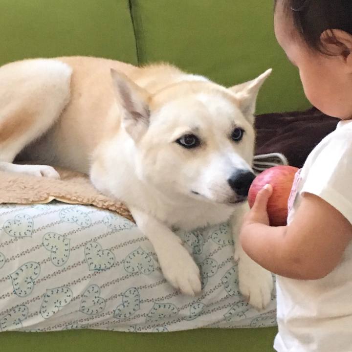 2ebb342e 8584 4992 af2c 325e00d70bd8