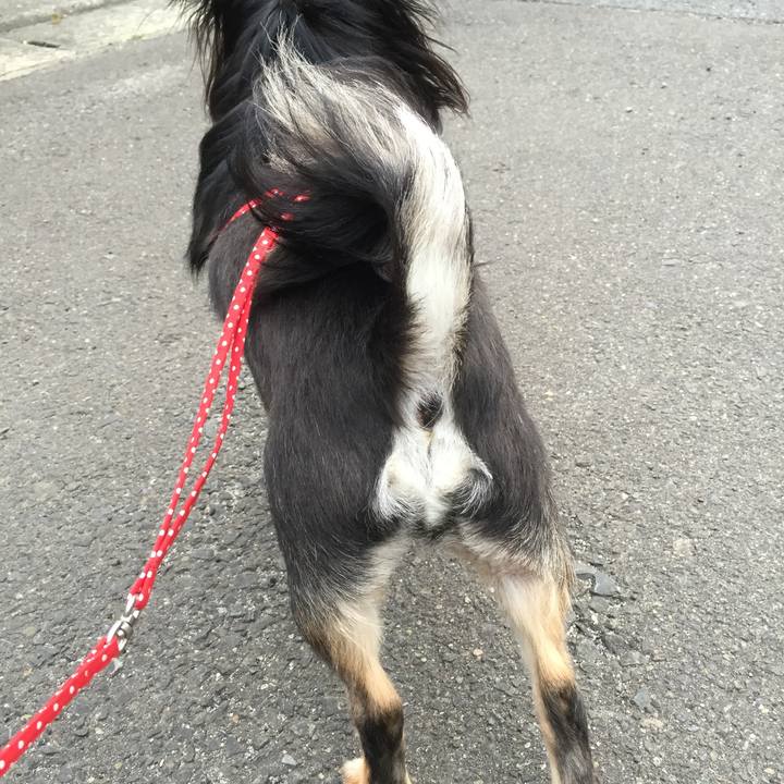 2ebb44fd c0a6 42b2 8484 b667ee625be0