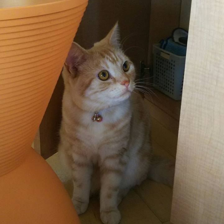 2ebb54de 547a 4e2e 836f 96a4ce9436cb