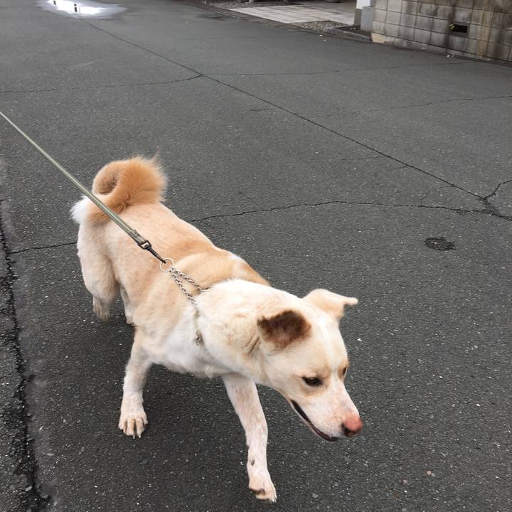 2ebbc110 292b 4d3c 9d32 37ffbb288bd1