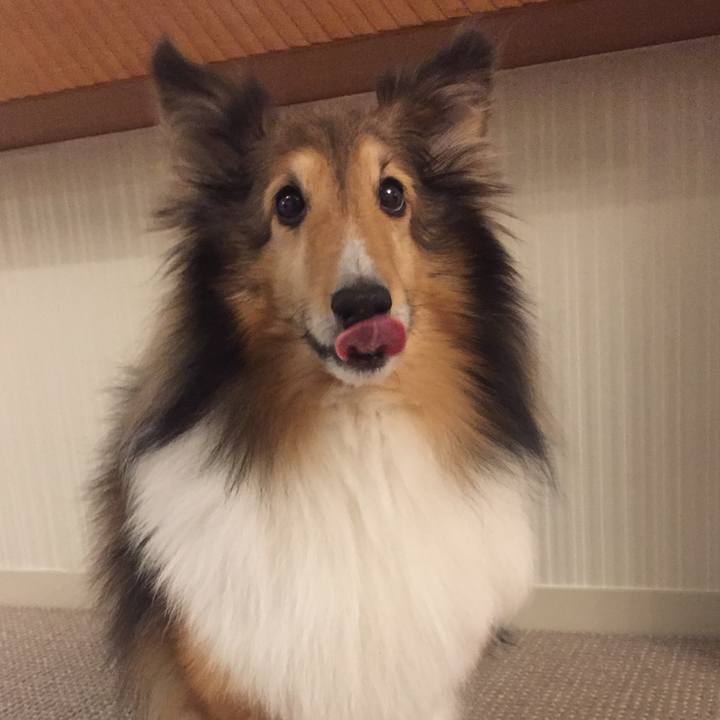 2ebc07b3 ef2d 4a7d a54b 215d9bdc5af6