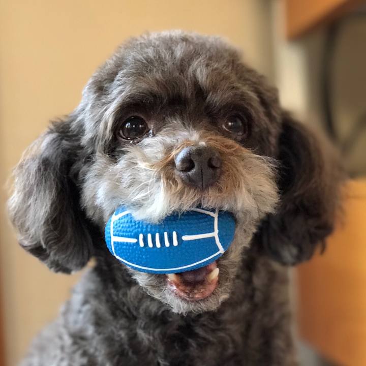 2ebc6a8c f794 4c67 801c ad38cdd08b79