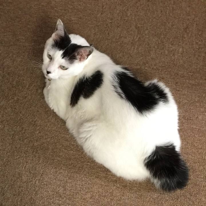 2ebd5cfa 0294 4887 ac3a 1c4680cbc503