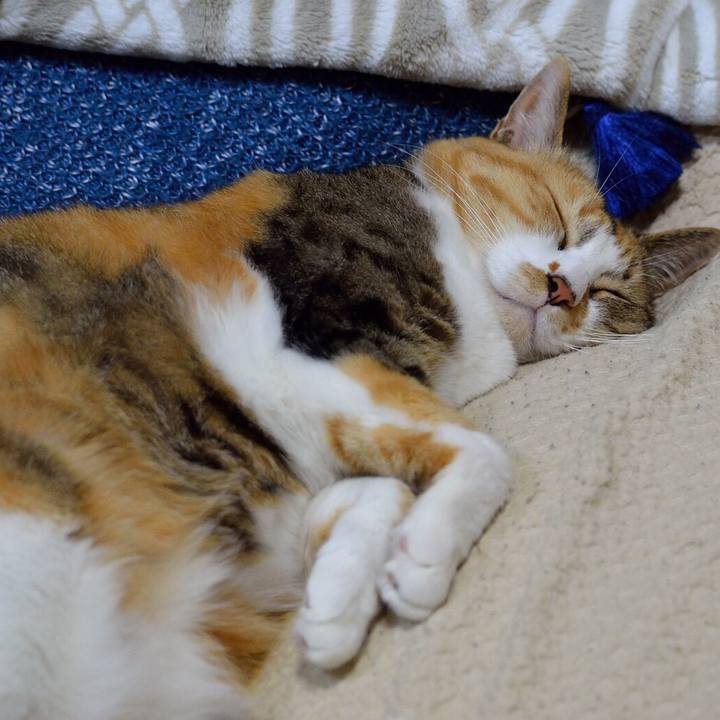 2ebe015f 0a3c 4c51 a723 6a30707ac92c