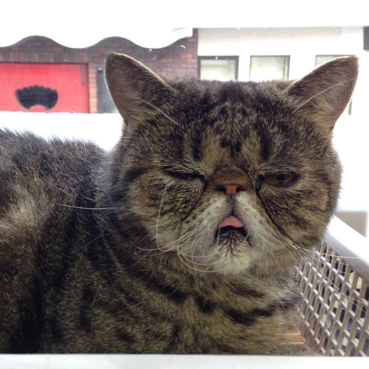 2ebe3434 e8d3 45a1 b8e9 c3e909aae767