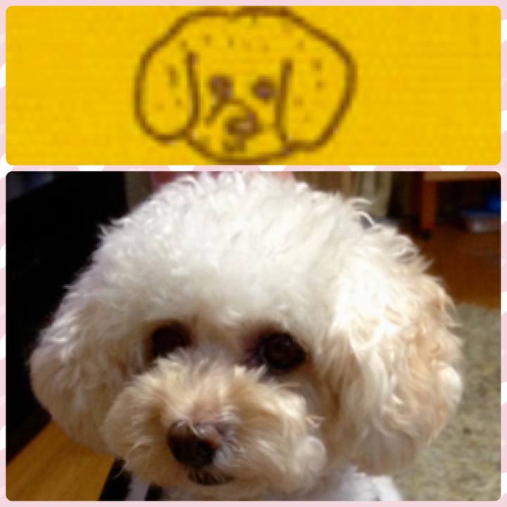 2ebe6e10 ae8f 4b9a 96df e77396a7a232