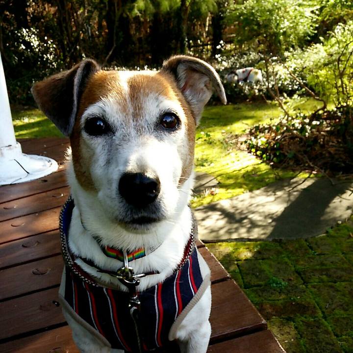 2ebed666 3f62 419a b439 5ed814fe4964