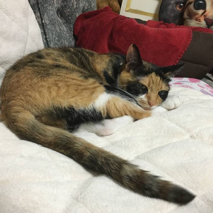 2ebee108 85ed 493d 84f0 28c3908ddc72