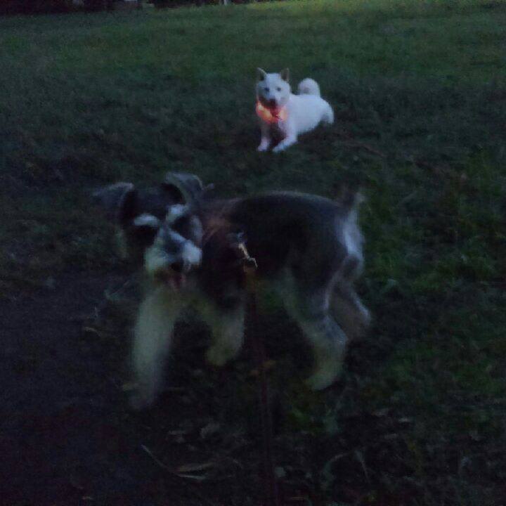 2ebee7be b73f 4944 823b 864843f1d12c