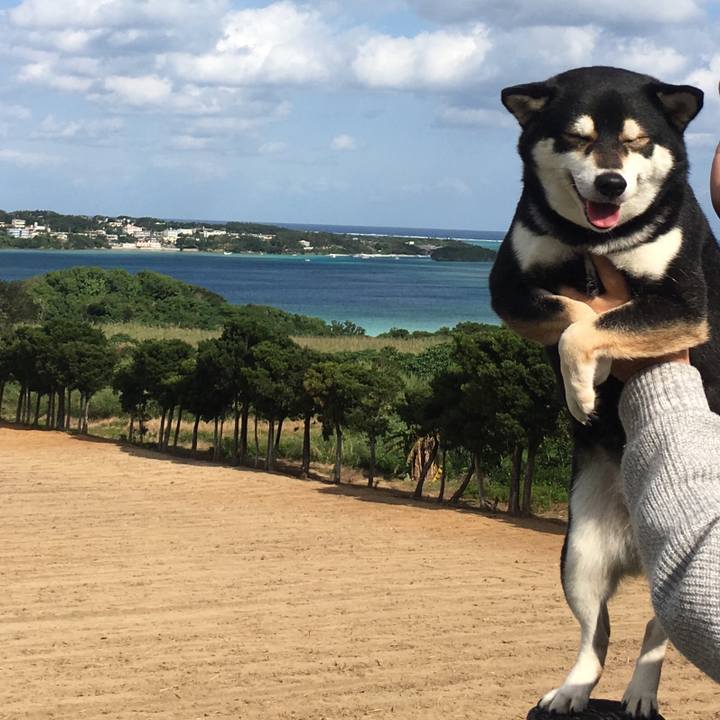 2ebf1b74 91cc 4dba a8f4 6be34aae87ce