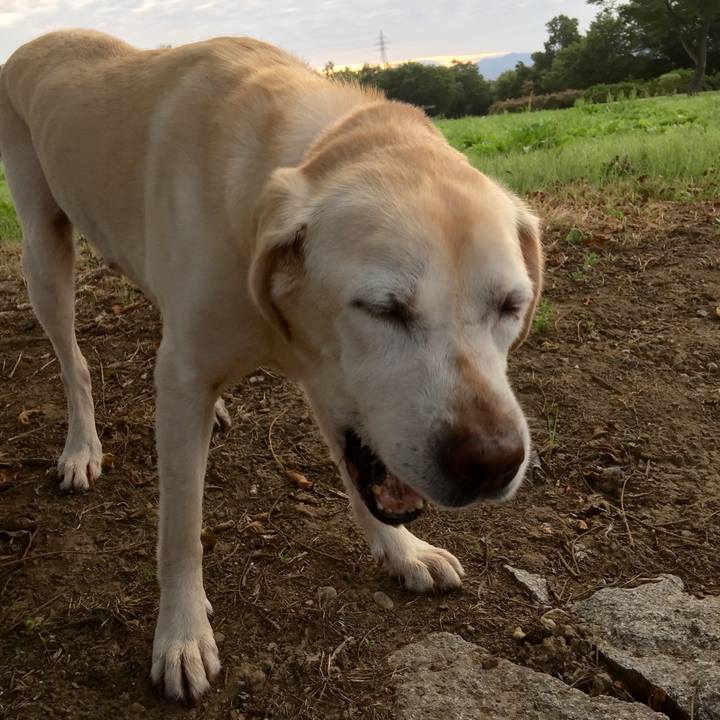 2ebf4704 02a7 48fe 802a 525f82cea5cb