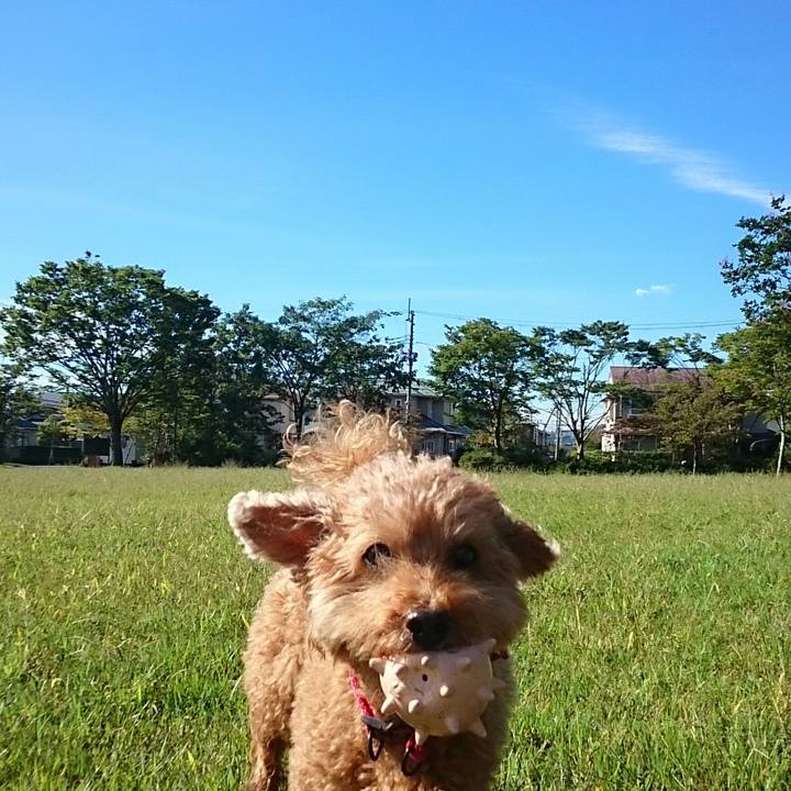 2ebf7a5c 8c9c 435e 830f 9416c1f74639