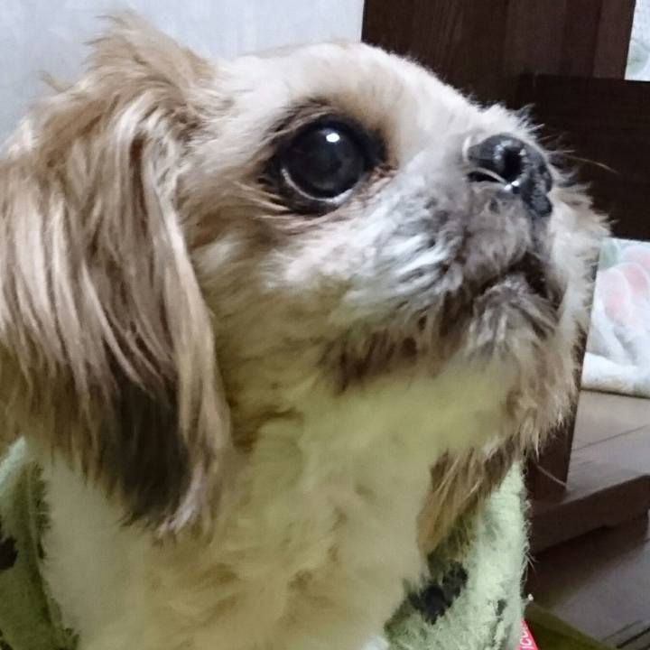 2ebfb7b2 7331 4fbc 9934 f46350ffb445