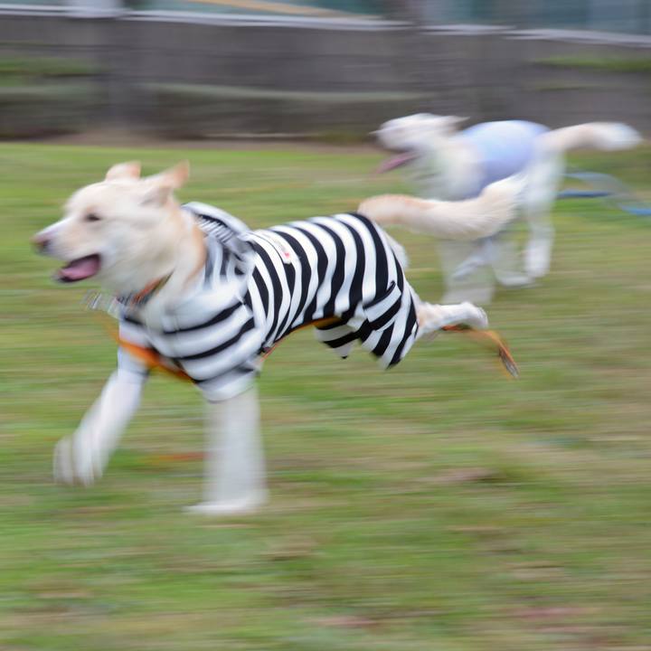 2ebfc3d0 3d16 47d2 a1b7 0886fcff0620