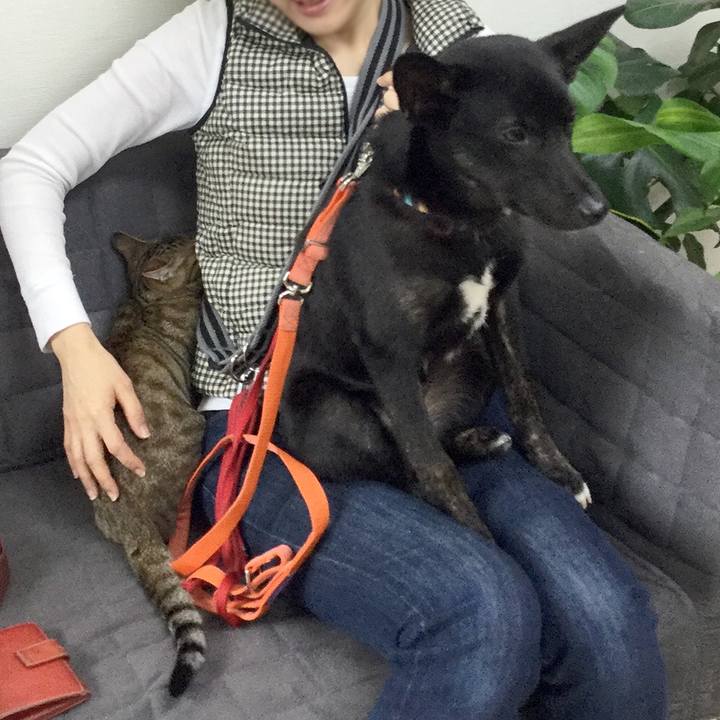 2ec04930 38a9 4afb 8cf1 6b7de1fa6480