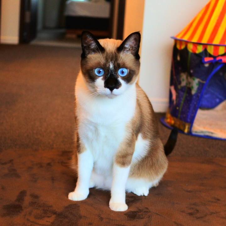 2ec071b1 25f5 42a6 893c 8ef82efb5a75