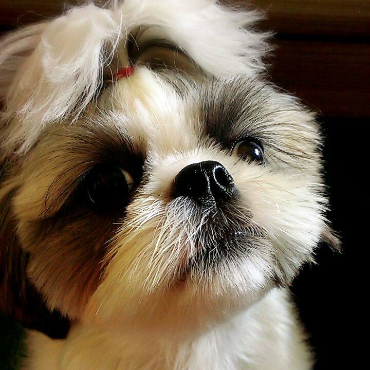 2ec0a3e2 bfd0 4ec5 a6b6 c79230439c69