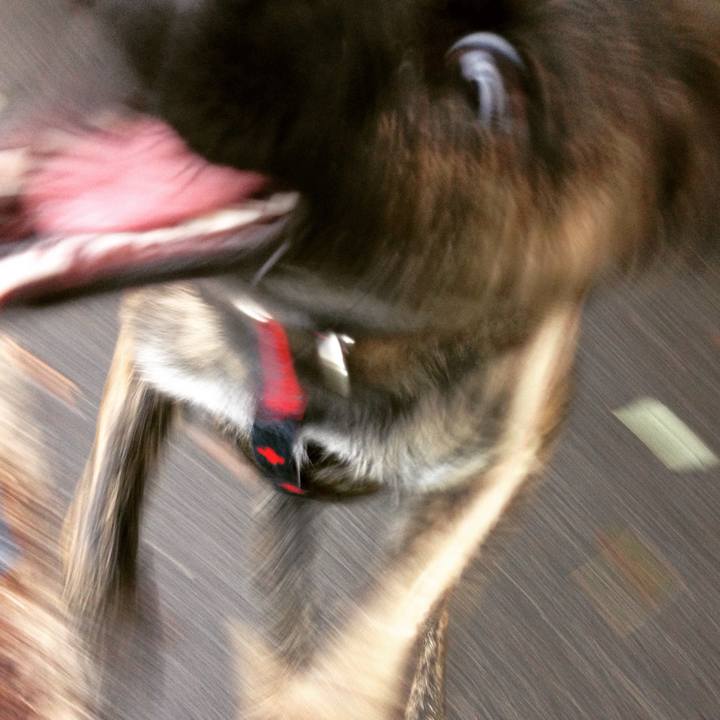 2ec17373 b3f8 4dd7 98d9 ca2615d6b2d8