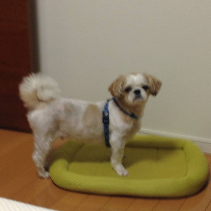 2ec212e4 5567 48ba 908d c418153409a2