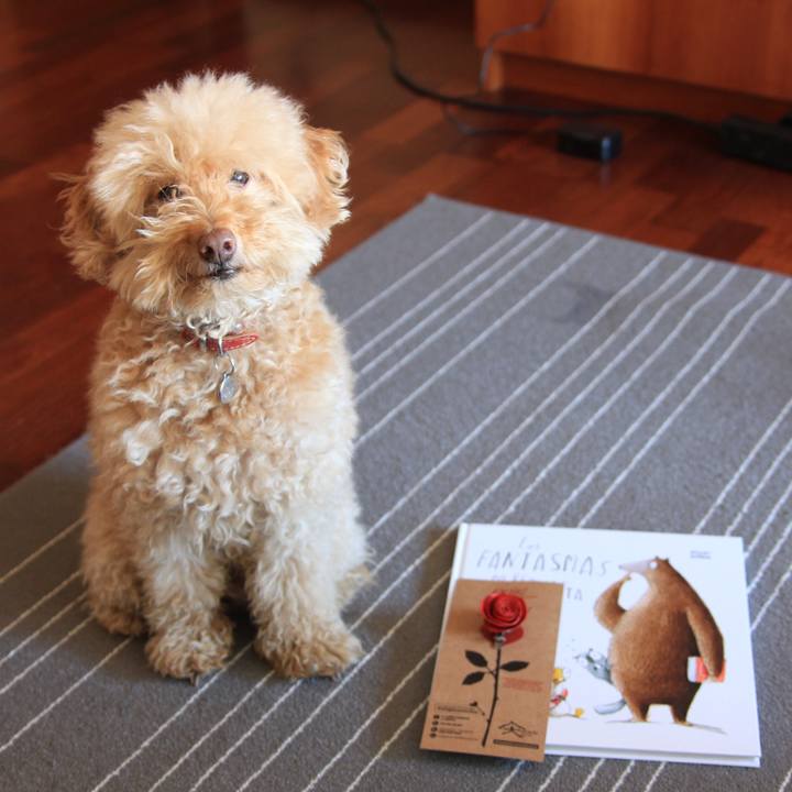 2ec35a98 d1d4 4f4b b0aa c2ab6c0155b6