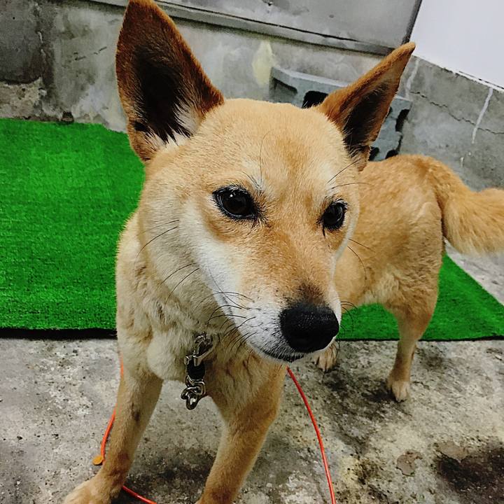 2ec36175 e78c 4c44 b112 382a8e85e512