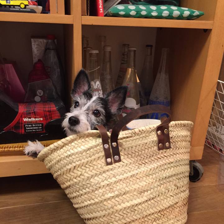 2ec37a91 7030 4bf1 ae71 143cb50a293a