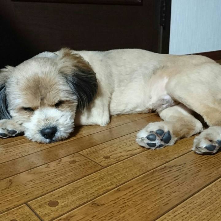 2ec3ae1a 62ed 4c1a 981a 8f9f3cd1d469