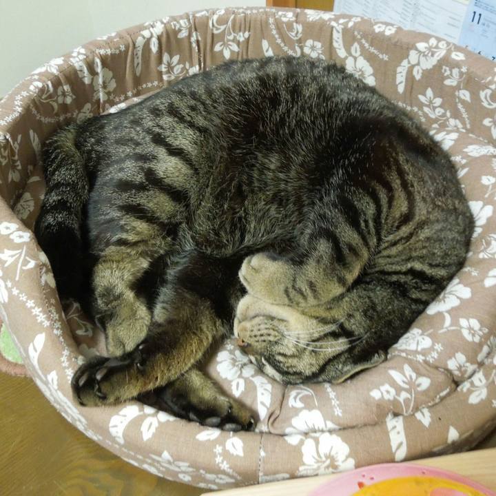 2ec3ee53 278d 4603 a0ba 00312ac7d246