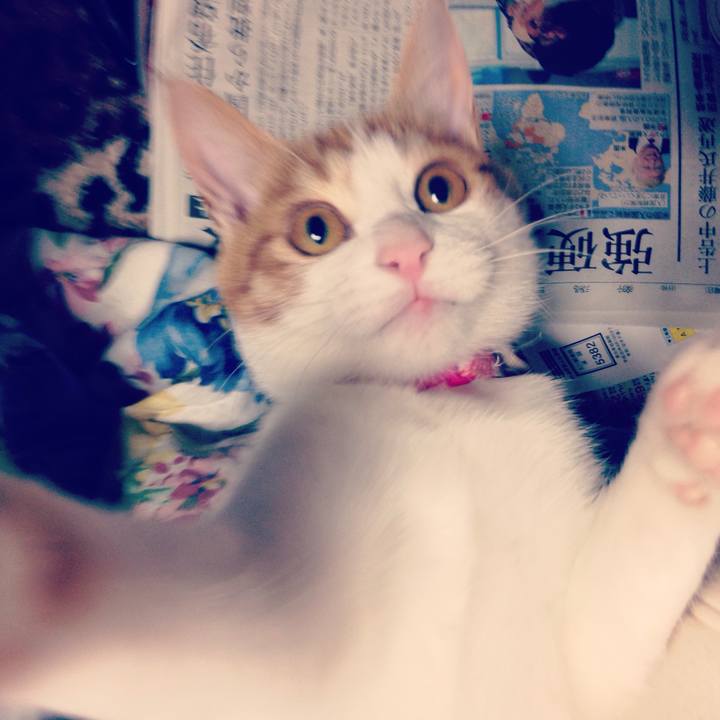 2ec402eb 3e28 4613 a411 4ea9353896df