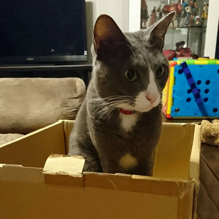 2ec45945 9588 4355 9240 35e82fa54256