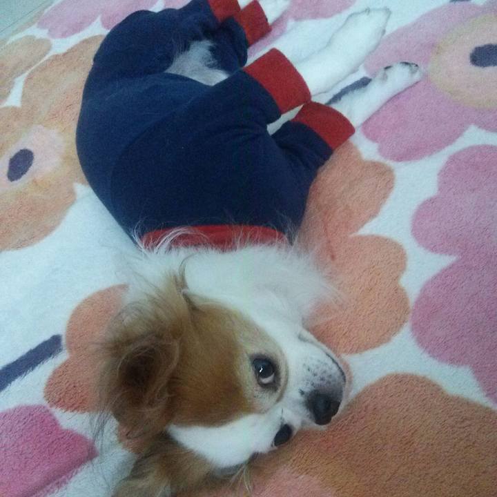 2ec59b85 66bb 4590 a5ad f5b6b54cc5d5