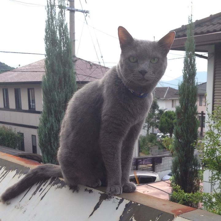 2ec6bf2c 1f62 4c8b 8124 4c093bd1b84d