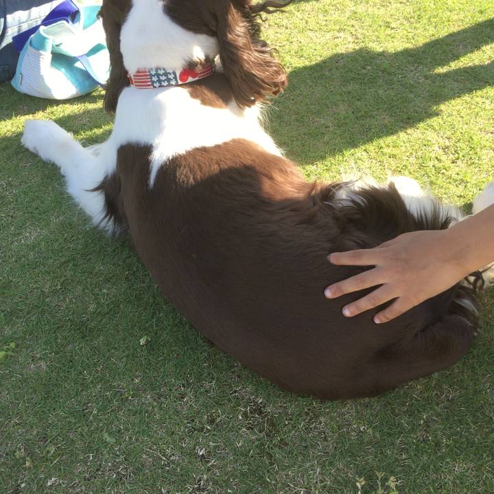 2ec72758 6e54 4149 beee bb504d1c40fa