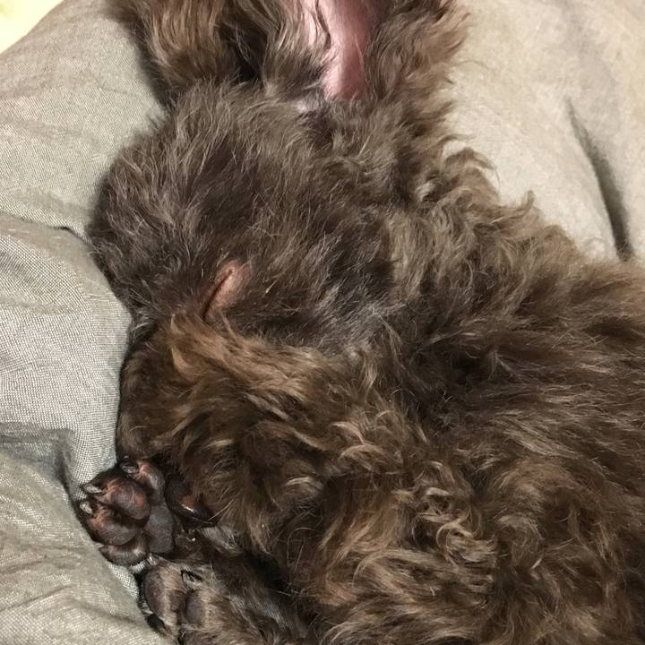 2ec7ce1f 2a93 40e0 a4b3 157f90c67c8f