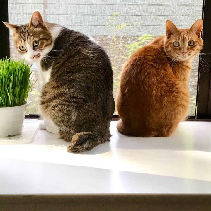 2ec7d27a a74f 4672 b6f1 a3625521752f