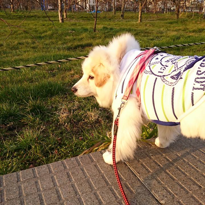 2ec80349 280b 47bf 94a9 7a38879351d4