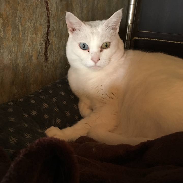 2ec84c89 f6e8 47fa b099 4ea4fa409a88